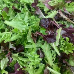 Lettuce Mix - 12oz