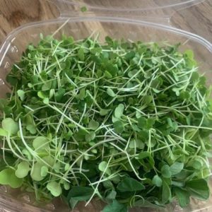 Micro Salad Mix