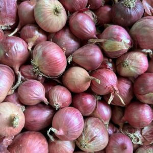 Red Onions, small