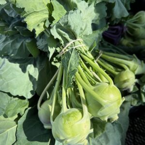 Kohlrabi
