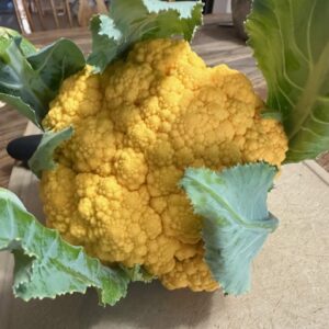 Cauliflower (Orange), Small