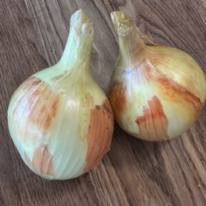 Candy Onions, large